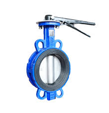 Buy the Best Quality Butterfly Valve CI Body Dia2''