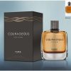 Fariis Courageous Men Perfume 100ml