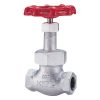 Globe Valve KITZ