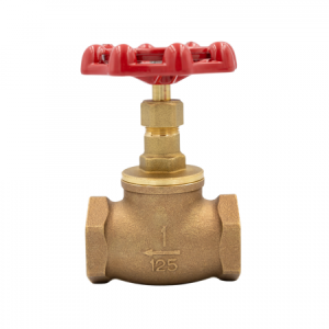 KITZ Japan Globe Valve 125 PSI
