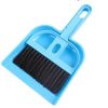 Mini Broom & Dustpan Set