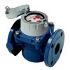 Refurbished Elster Water Meter