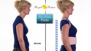 Royal Posture Back Support Brace 