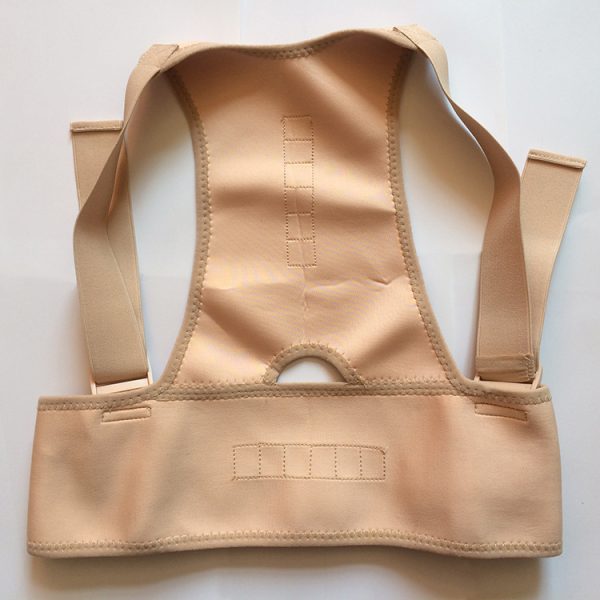 Royal Posture Back Support Brace