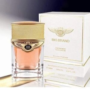 SELLION BIG BRAND FOR WOMEN EDP 100ML
