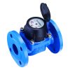 Younio Woltman Water Meter Cold Water