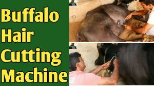 Buffalo Hand Hair Clipper