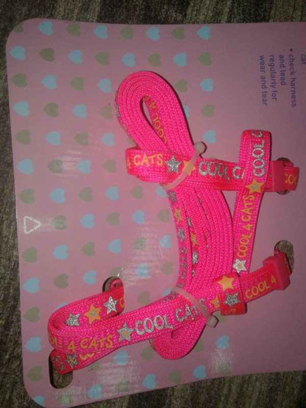 Cat Harness And Lead Set