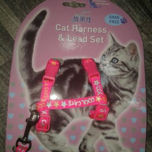 Cat Harness And Lead Set