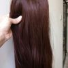 Dark Brown Straight Hair Extension Clip