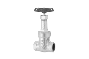 Gate Valve Iron 10-SM KITZ Japan