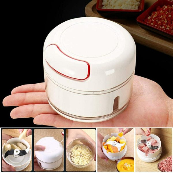 2 Blades Mini Food Chopper Processor