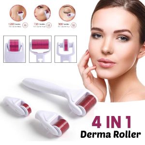 4 In 1 Derma Roller Micro-Needling Skin Care