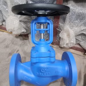 Bellow Seal Globe Valve PN40 Flange Type (GV)