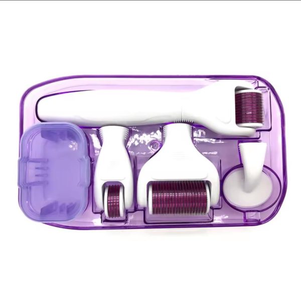 6 in 1 Derma Roller system