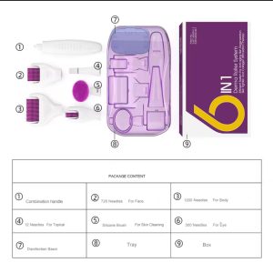 6 in 1 Derma Roller system
