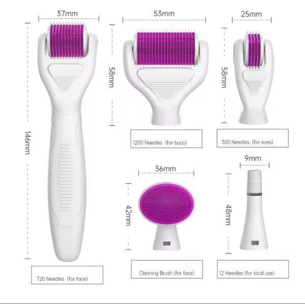 6 in 1 Derma Roller system