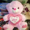 Cute Teddy Stuff Bear for Kids,6 Inches