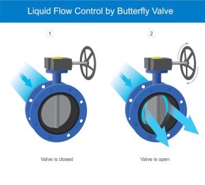 How to Install a Butterfly Valve (2” & 3”) in Industrial Pipelines – Step-by-Step for Beginners