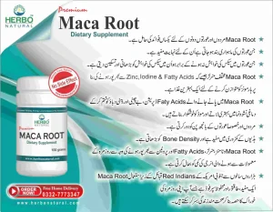 Maca Root Powder Extract 50 gram