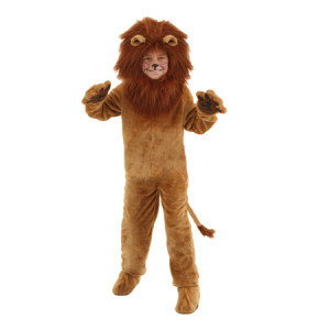 Buy the Best Quality Lion King Costume For Kids in Pakistan at DayShop.pk. Most Affordable Price With Fast Shipping in All Over Pakistan