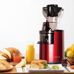 DSP Slow Press Juicer Extractor Machine