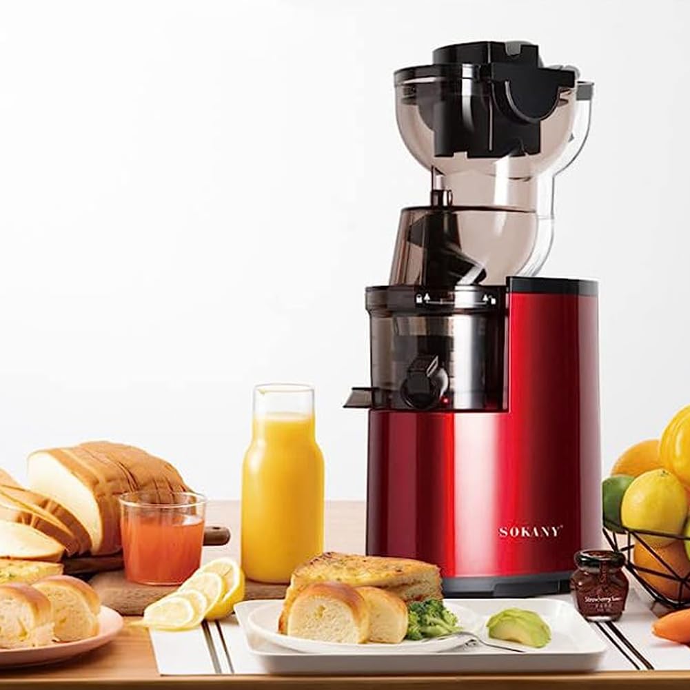 DSP Slow Press Juicer Extractor Machine